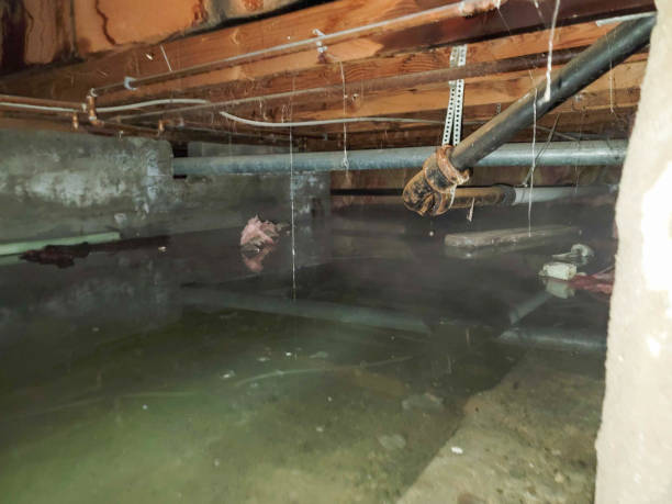 Best Water damage restoration near me  in Independent Hill, VA