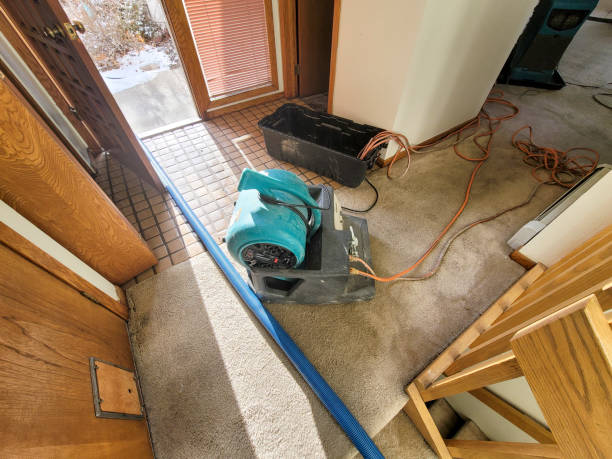 Best Ceiling water damage repair  in Independent Hill, VA