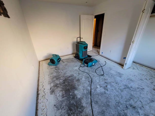 Best Mold removal after water damage  in Independent Hill, VA