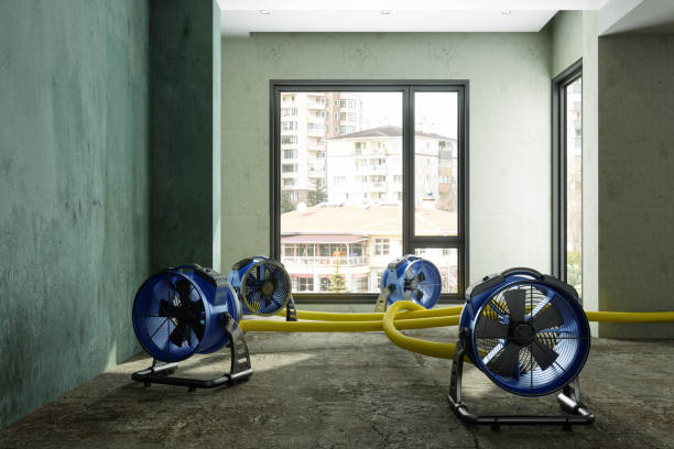 Water damage restoration experts in Independent Hill, VA